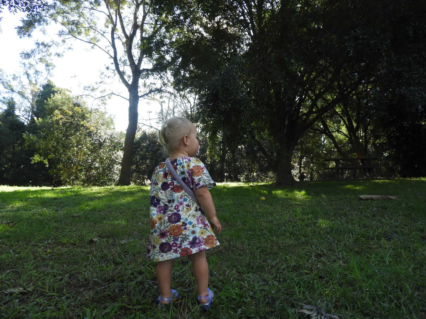 Cottage Garden Dress